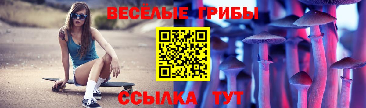 Заринск  Галлюциногенные грибы Psilocybe  Псилоцибиновые грибы Cubensis  Вход с VPN 